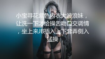 小宝寻花紫色内衣大波浪妹，让洗一下才给操舌吻口交调情，坐上来JB插入上下套弄侧入猛操