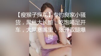 【瘦猴子探花】专约良家小骚货，黑丝大长腿，吃饱喝足开车，大屌塞嘴里，张开双腿爆操