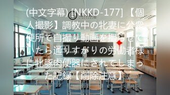 (中文字幕) [NKKD-177] 【個人撮影】調教中の牝妻に公衆便所で自撮り動画を撮らせていたら通りすがりの労働者様に牝豚肉便器にされてしまった記録【削除注意】